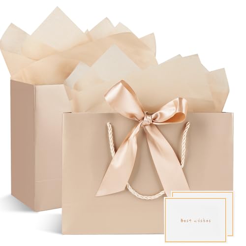 Champagner 2-Pack Medium Geschenktüten mit 2 Wrappers und Karten, Papier-Tüten mit Griffen für Frauen, Männer, Geburtstag, Hochzeit, Party, Weihnachten - 20x10x28cm