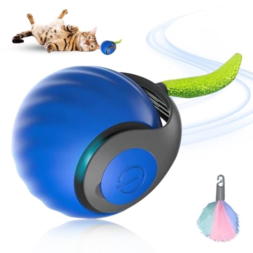 Chewie Rolling Ball 2026 Upgrade, Interaktives Katzenspielzeug Katzenball, Katzenspielzeug Elektrisch Magic Ball Hunde Selbstbeschäftigung, Automatisch Rollender Intelligenz B-all, 2 Modus (blau)