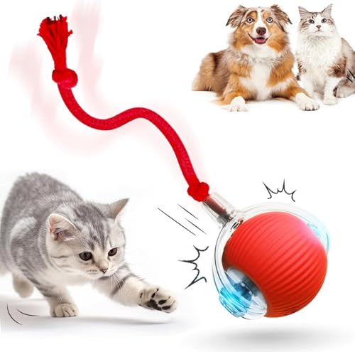 HOIDOKLY Interaktives Katzenballspielzeug, 2025 Neu Haustiere Spielzeug, Hundeballspielzeug mit USB Aufladbar, DREI Arbeitsmodi, 360° Drehbar Smart Ball für Hunde und Katzen (Rot)