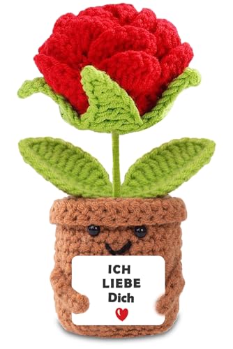 BOAITE Ich Liebe Dich Geschenke für Frauen Männer, Geschenk für Paar- Pocket Hug Rose, Partner Geschenke, Hochzeitstag, Jahrestag Geschenk für Sie Ihn, Liebes Geschenk für Ihn Sie