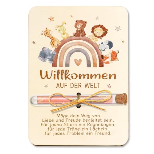 Geschenke zur Geburt, Geldgeschenk Verpackung Holz mit Reagenzgläser und Karte, Baby Geschenk zur Geburt Junge Mädchen, Regenbogentiere Geburtsgeschenk Babygeschenke