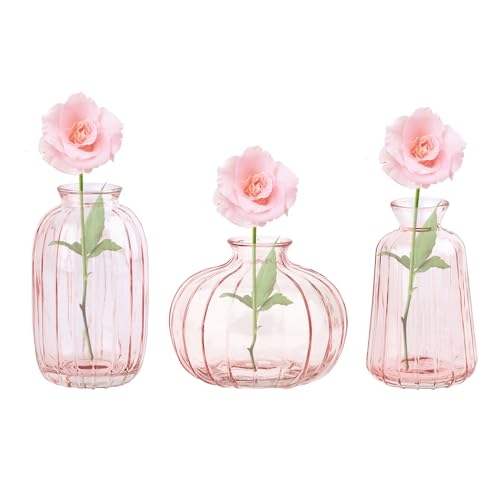 3er-Set Glasvase Kleine Vasen für Tischdeko, Deko Blumenvase Set für Hochzeit Tischdeko(Rosa)