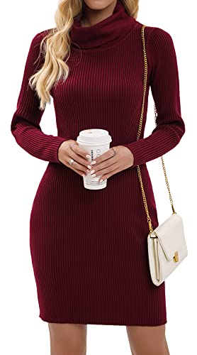Imuedaen Strickkleid Damen Rollkragen Elegant Langarm Tunika Pullikleid Lang Strickpullover Minikleid Pullover für Herbst Winter (A Burgund, M)