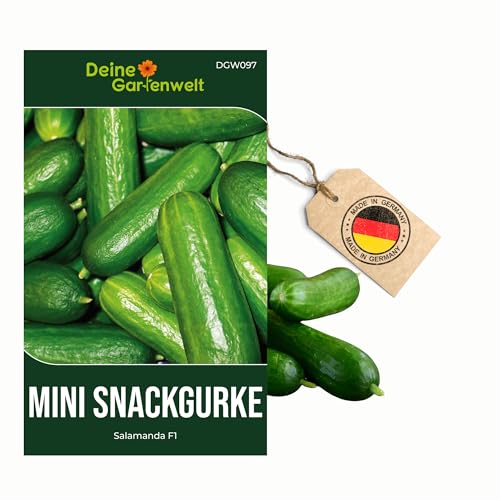 Mini Snackgurke Salamanda F1 Samen - Cucumis sativus - Gurkensamen - Gemüsesamen - Saatgut für 6-8 Pflanzen