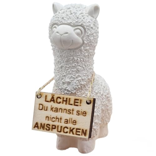Generisch Lustige Alpaka Figur mit Holzschild – „Lächle! Du Kannst sie Nicht alle anspucken“ – Deko Tier aus Guss – Geschenkidee für Büro, Kollegen & Freunde – Lama Dekofigur