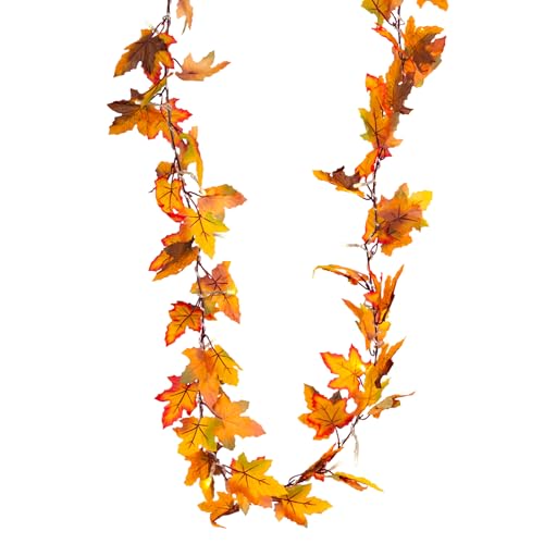 Heitmann Deco LED Motiv-Lichterkette mit Ahornblättern - Herbst Deko-Girlande mit 20 LEDs - batteriebetrieben; innen