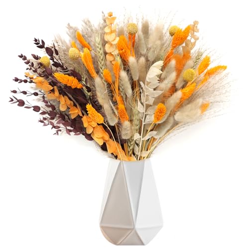 105 Stück Getrocknete Pampasgras Herbst Dekoration Pampasgras Trockenblumen Deko Natürliche Trockenblumenstrauß für Herbst Hochzeitsdeko Boho-Blumen Tischdekoration Hause Rustikale Bauernhausparty