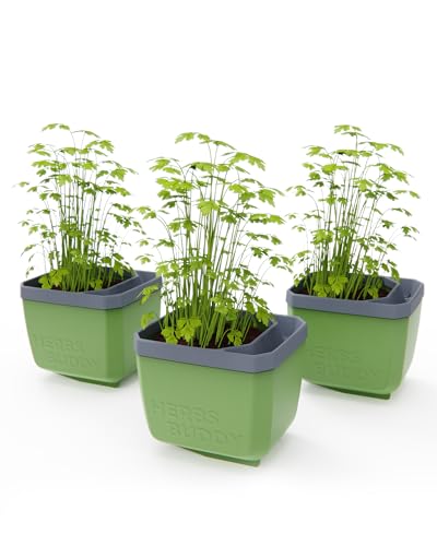 GUSTA GARDEN Herbs Buddy - Selbstbewässerungstopf & Kräutertopf für Küche & Fensterbank, Ideal für Basilikum, Wassertank, Wasserstandsanzeige (3, dunkelgrün)