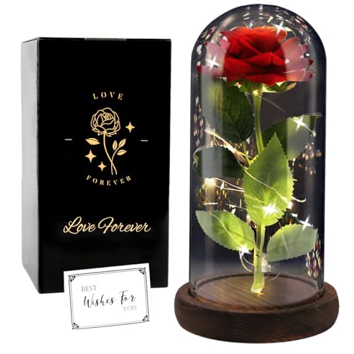 FAYODO Ewige Rose im Glas Die Schöne das Biest Ewige Rosen, Geschenke für Frauen Rose Geschenk für Mama, in Einer Glaskuppel mit LED-Lichtfür Frau am Muttertag Geburtstag Valentinstag Jahrestag