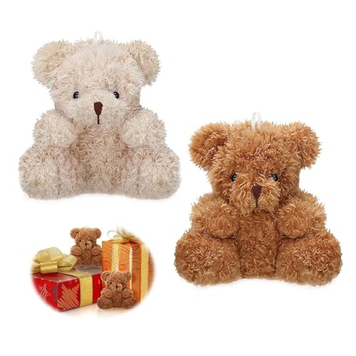 Muorruo 2 Stück Mini-Bär, Plüsch, Kleiner Bär, Tierspielzeug für Babypartys, Partygeschenke, kleine weiche Puppen, Geschenke für Abschlussfeiern, Schlüsselanhänger, Taschenanhänger