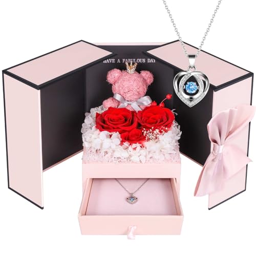 ADDWel Ewige Rose Geschenkset für Frauen - Rosenbär & 925 Sterling Silber Halskette, Konservierte Rosen Box, Geschenk für Freundin Mama Oma zum Geburtstag Jahrestag Weihnachten