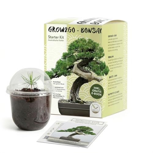 GROW2GO Bonsai Starter Kit Anzuchtset - Pflanzset aus Mini-Gewächshaus, Samen & Erde - nachhaltige Geschenkidee für Pflanzenfreunde (Australische Kiefer)