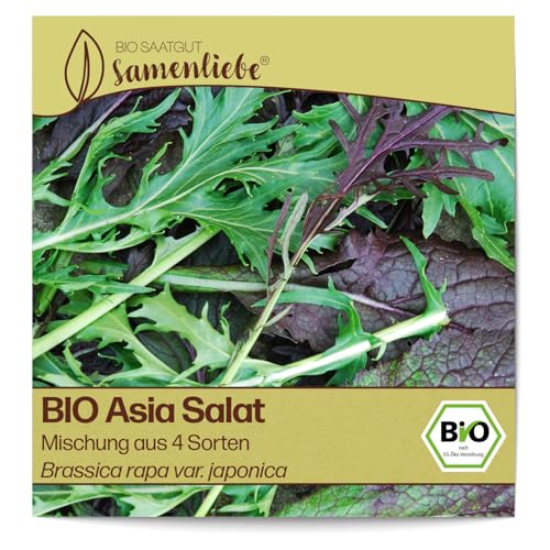 Samenliebe BIO Asia Salat Samen Mischung aus 4 Sorten 1g samenfestes Gemüse Saatgut für Gewächshaus Freiland und Balkon BIO Gemüsesamen winterhart