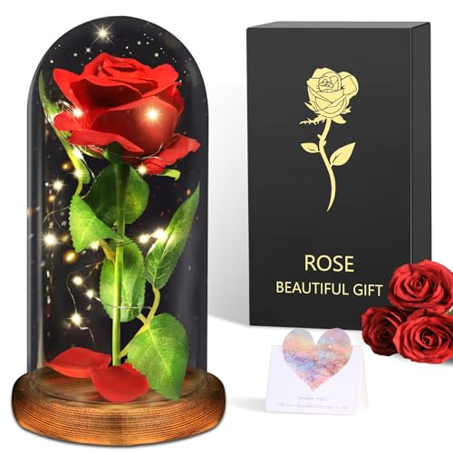 Geschenke für Frau, Ewige Rose im Glas, Die Schöne und das Biest Roses, Infinity Rosegeschenk für Freundin,Ehefrau,Weihnachten Geschenke(Romantische Rote Rose-)