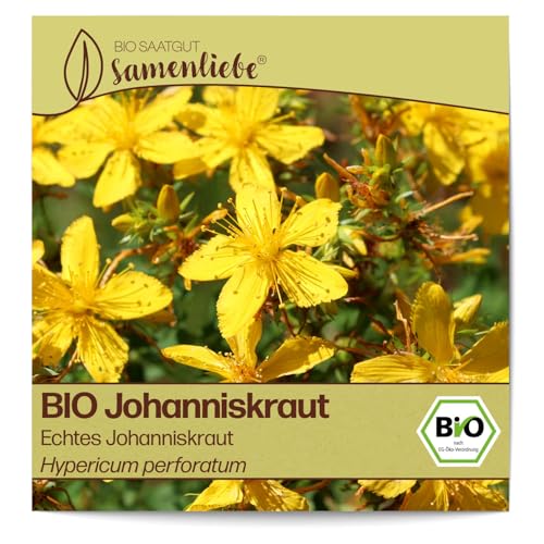 Samenliebe BIO Johanniskraut Samen alte Sorte Echtes Johanniskraut - gelbe Blüten 1500 Samen samenfestes Kräuter Saatgut für Küche indoor und Balkon Garten BIO Kräutersamen mehrjährig