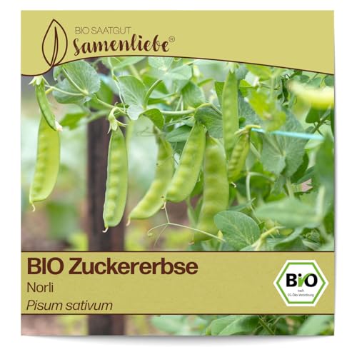 Samenliebe BIO Zuckererbsen Samen alte Sorte Norli sehr süße Topf-Zuckerschote frühe Erbse grün 20 Samen samenfestes Gemüse Saatgut für Gewächshaus Freiland und Balkon BIO Gemüsesamen