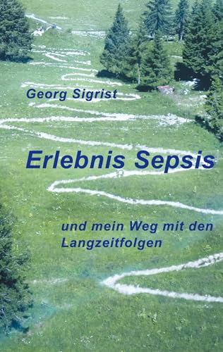 Erlebnis Sepsis: und mein Weg mit den Langzeitfolgen