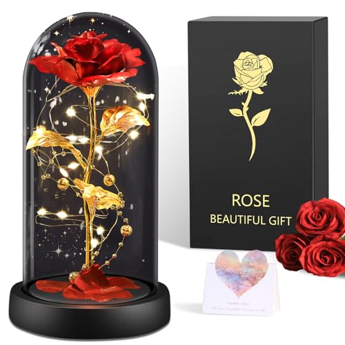 BOLEi Ewige Rose für Frauen, Ewige Rose im Glas Überraschung für Mama, Die Schöne und das Biest Roses, Hochzeitstag Überraschung für Frauen, Rote Galaxie Rosen für Sie, Freundin（Klassische Rote Rose）