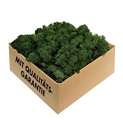 GJS Islandmoos - konserviertes Moos zum Basteln, Deko & DIY für künstliche Bilder, Pflanzen-Wand, Kunst, Modellbau sowie Oster- (Gras, Nest) & Weihnachtsdeko (Krippe, Adventskranz) (dunkelgrün, 200 g)
