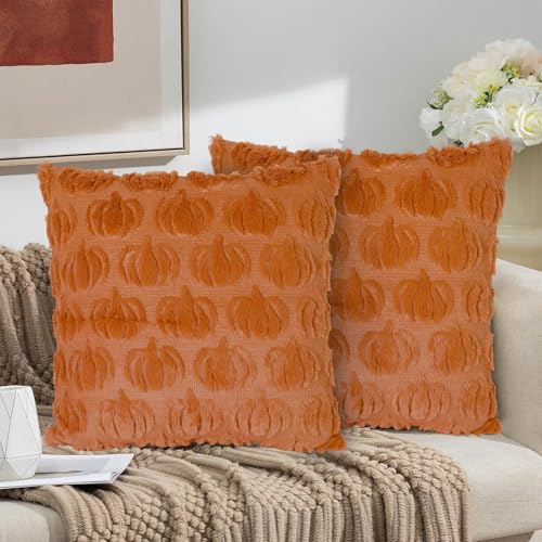 YORFULL 2 Stück Herbst Deko Kissenbezug, 45 x 45 cm Halloween Kürbis Kissenbezüg, Weiches Plüsch Samt Herbst Kissenbezüge, Ästhetischer Kürbis Deko Kissenbezug für Sofa, Schlafzimmer (Karamell)