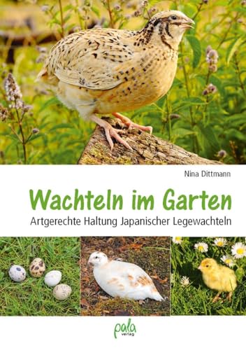 Wachteln im Garten: Artgerechte Haltung Japanischer Legewachteln