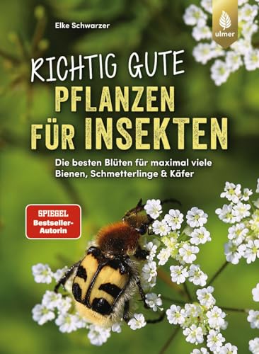 Richtig gute Pflanzen für Insekten: Die besten Blüten für maximal viele Bienen, Schmetterlinge, Schwebfliegen & Käfer im Garten. Mehr Respekt für's Insekt.