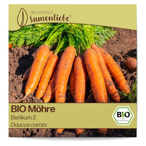 Samenliebe BIO Möhren Samen alte Sorte Berlikum 2 Karotte Wintermöhre orange 800 Samen samenfestes Gemüse Saatgut für Gewächshaus Freiland und Balkon BIO Gemüsesamen winterhart