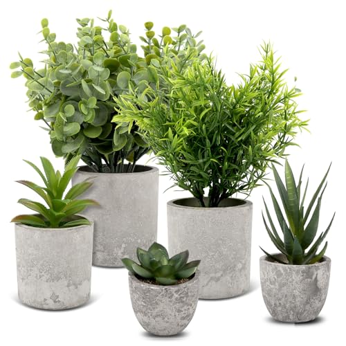 5 Stück Kunstpflanzen wie Echt, Künstliche Pflanzen Klein, Dekopflanzen, Kunst Pflanzen Künstlich Sukkulenten, Fake Plant, Plastikpflanzen, Schlangenzunge, Eagle Claw Aloe, Eukalyptus für Schlafzimmer