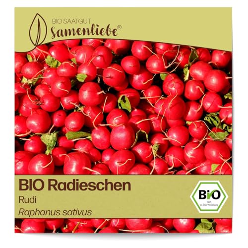 Samenliebe BIO Radieschen Samen alte Sorte Rudi 200 Samen samenfestes Gemüse Saatgut für Gewächshaus Freiland und Balkon BIO Gemüsesamen