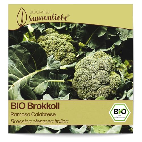 Samenliebe BIO Brokkoli Samen alte Sorte Ramoso Calabrese italienischer Broccoli frühreifender Kohl grün 200 Samen samenfestes Gemüse Saatgut für Gewächshaus und Freiland BIO Gemüsesamen winterhart