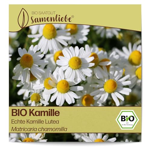 Samenliebe BIO Kamille Samen alte Sorte Echte Kamille Lutea Wildkräuter Bienenpflanze weiß 3000 Samen samenfestes Kräuter Saatgut für Küche indoor und Balkon Garten BIO Kräutersamen mehrjährig