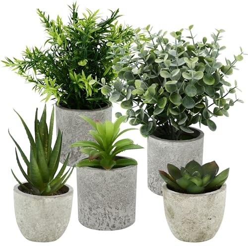 5 Stück Kunstpflanze, Mini Künstliche Pflanzen Schlangenzunge, Agave Sukkulente, Eagle Claw Aloe, Künstliche Pflanzen für Schlafzimmer Büro Dekoration