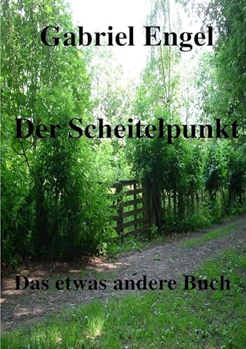 Der Scheitelpunkt: Das etwas andere Buch