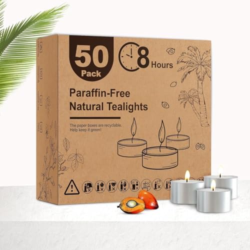 Ashlux Teelichter 50 Stück aus natürlichem Palmölwachs – 8 Stunden Brenndauer – Weiß, rußfrei & tropffrei – für gemütliche Abende & romantische Deko