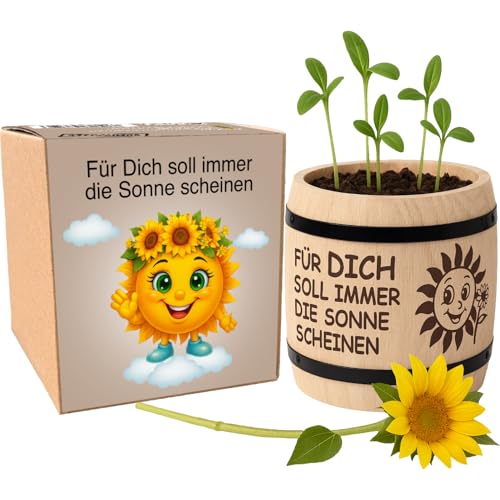 Sonnenblumen Anzuchtset mit Geschenkbox, Für Dich Soll Immer Die Sonne Scheinen, Dekoratives Pflanzset mit Holztopf, Geschenk für Frauen