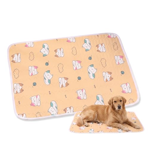 Generisch Kühlmatte Hund und Katzen, Kühldecke Selbstkühlende mit rutschfeste Punkten aus Latex-Füllung, Waschbar Haustier, Reisematte, Geeignet für Auto Zuhause Unterwegs (Orange Katze, 50x40cm)