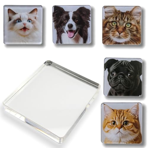 18 Stück Set zum Magnete Basteln & Selbst Gestalten – Klare Fotomagnete Kühlschrankmagnete aus Acryl mit Kleberücken & Ferrit-Magneten für DIY-Deko (Küche, Büro, Schule)