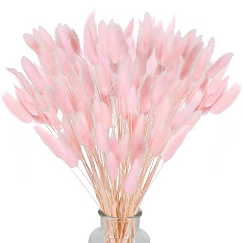 HUAESIN 120 Pcs Natürliche Trockenblumen Pampasgras Getrocknet Blumen Klein Pampas Gras Pampasgras Trockenblumen Schilfgras für Hochzeit Hause Party Wedding Büro Fotografie Vase Deko Pink