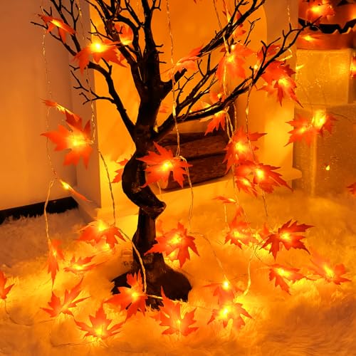 Isisyu Herbst Ahornblatt Lichterkette - 3M 20 LED Batterie Mit Timer - Girlande Dekoration für Halloween Kürbis Erntedankfest Thanksgiving Party Herbstdeko