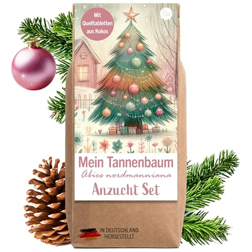 Little Plants Weihnachtsbaum Anzuchtset - Christbaum, Adventskalender Füllung, Wichtelgeschenk, Weihnachtsbaum in der Dose, Adventskalender befüllen Inhalt, Tannenbaum Geschenk Set (Variante 1)