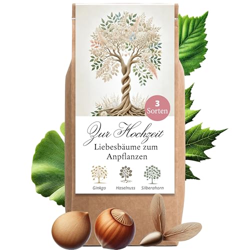 Hochzeitsgeschenk Anzuchtset Liebesbäume Hochzeitsgeschenke für Brautpaar Liebesbäume Geschenk Hochzeit kleine Aufmerksamkeit Hochzeitsbaum Baum Pflanzen Samen Set (Variante 2)