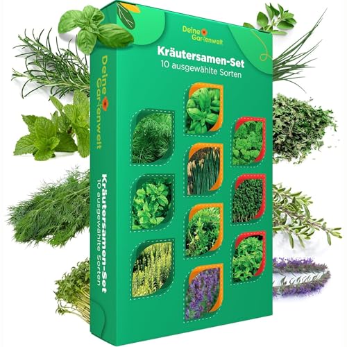 Premium Kräuter Samen Set (10 Sorten) - Hohe Keimkraft - Küchenkräuter Saatgut Mischung für Indoor & Outdoor – Basilikum, Petersilie, Dill, Kresse & Schnittlauch & Mehr