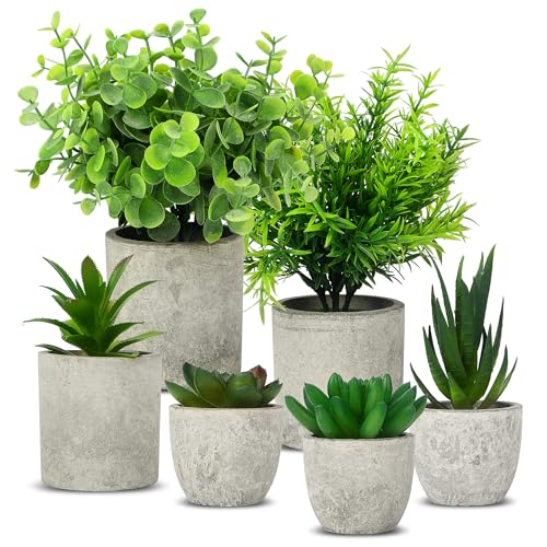 6 Stück Kunstpflanze, Mini Künstliche Pflanzen Schlangenzunge, Agave Sukkulente, Eagle Claw Aloe, Fake Plant für Home Schlafzimmer Badezimmer Küchen Büro Zimmer Fensterbank Zuhause Innen Dekoration